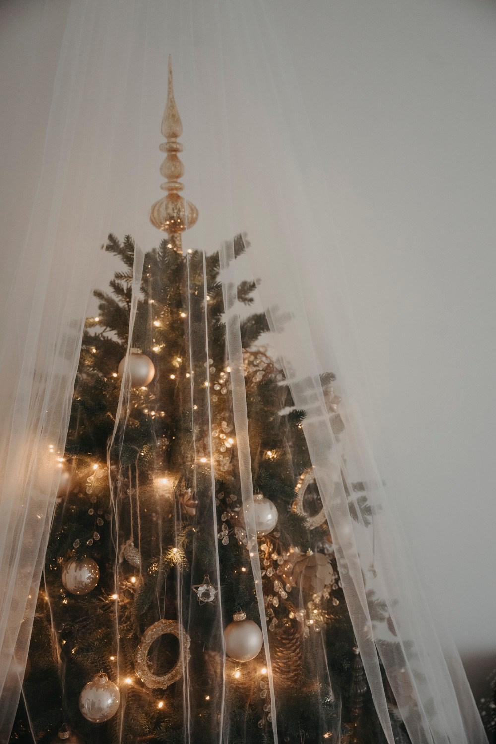 NOVOGODISNJE FOTOGRAFISANJE. Deciji i porodicni fotograf u Beogradu Oksana Skendzic