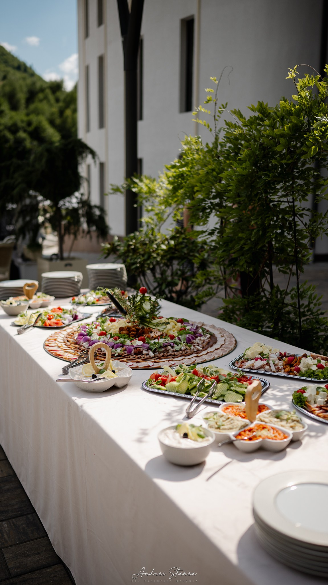 Claudia & Mircea. Andrei Stanea