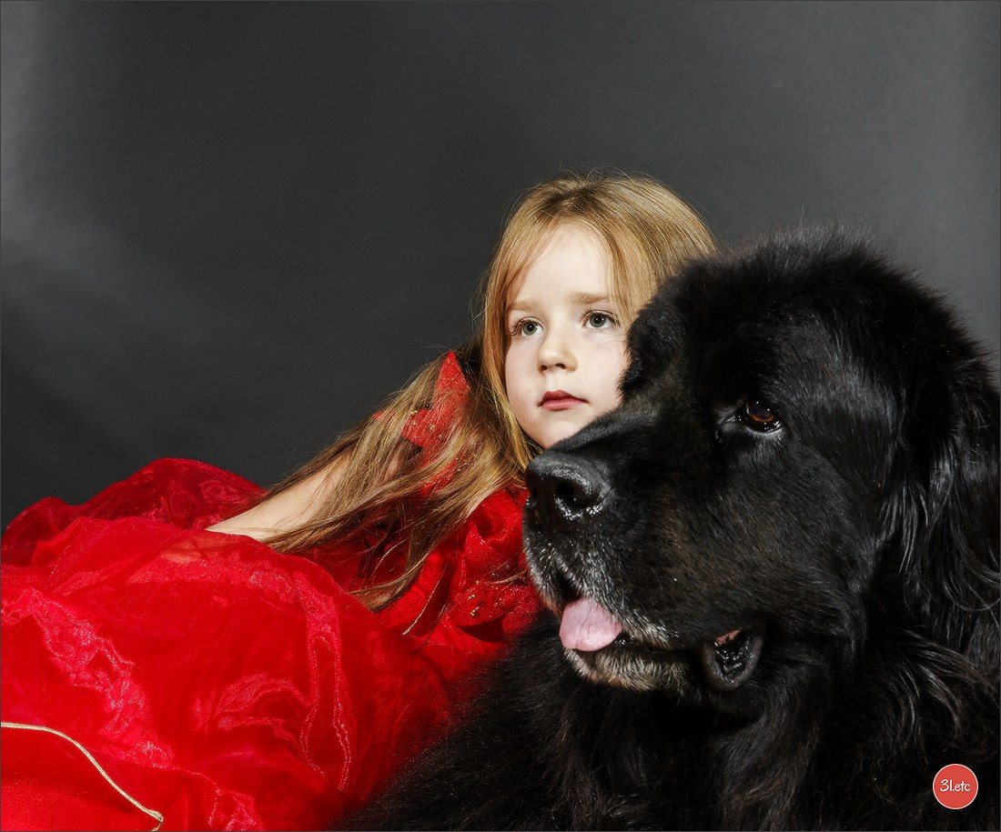 Portrait ou portrait de famille chez vous. Photographe à Strasbourg | Portraits, Studio, Enfants, Événements