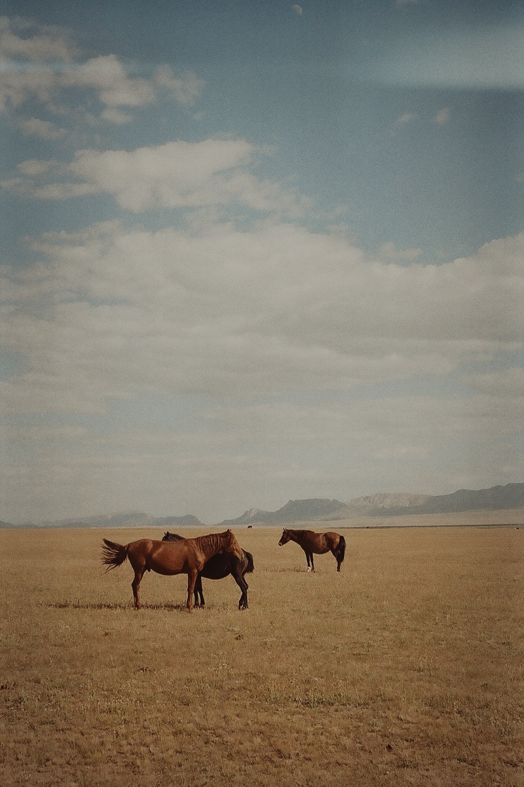 Chloé Heller — Fine Art / Documentary Photography