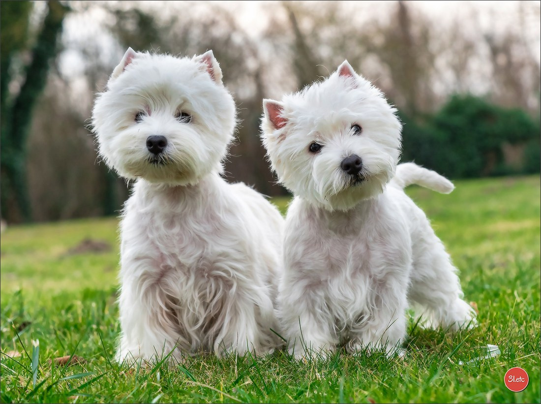 Photographe à Strasbourg | Portraits, Studio, Enfants, Événements