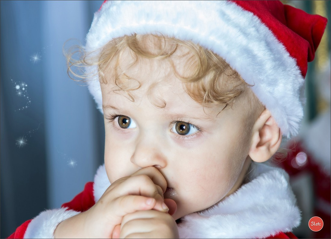 Portrait ou portrait de famille chez vous. Photographe à Strasbourg | Portraits, Studio, Enfants, Événements