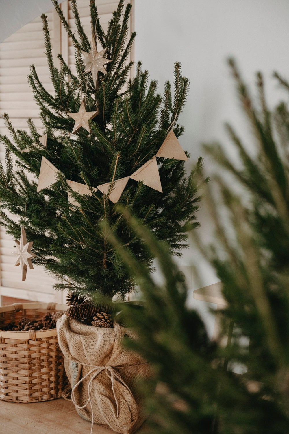 NOVOGODISNJE FOTOGRAFISANJE. Deciji i porodicni fotograf u Beogradu Oksana Skendzic