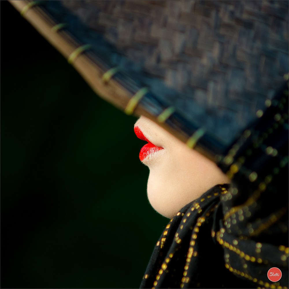 Portrait ou portrait de famille chez vous. Photographe à Strasbourg | Portraits, Studio, Enfants, Événements