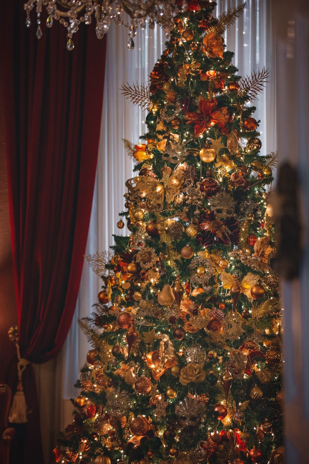 Sedinte foto Craciun Bucuresti