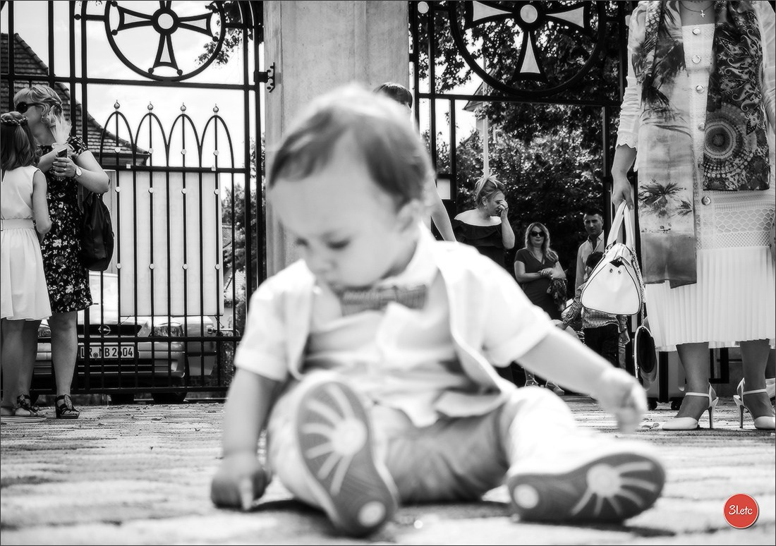 Wedding . Family . Bapteme . Mariage. Photographe à Strasbourg | Portraits, Studio, Enfants, Événements