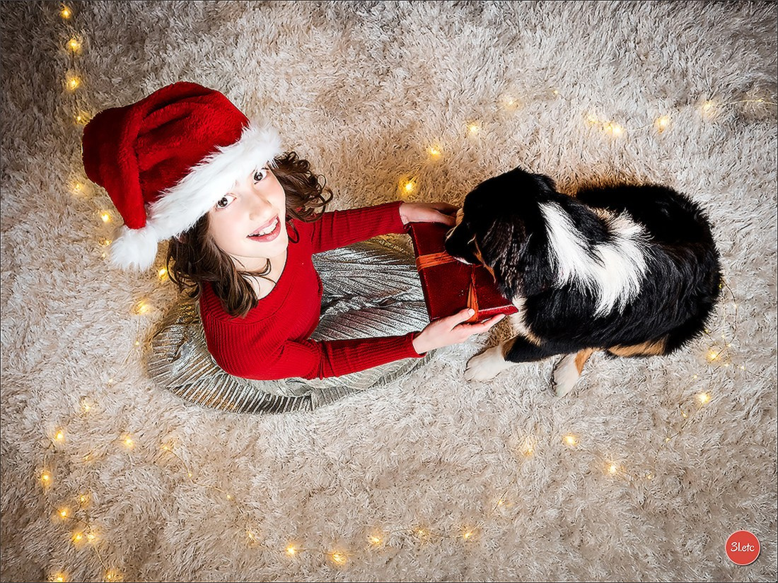 Wedding . Family . Bapteme . Mariage. Photographe à Strasbourg | Portraits, Studio, Enfants, Événements