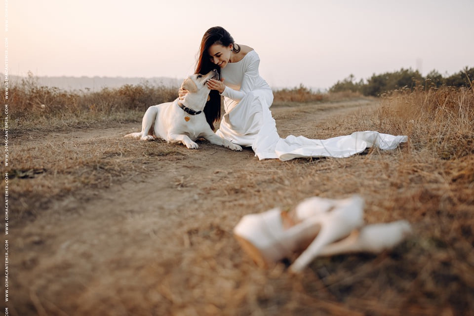 Fotograf de nuntă în Chisinau, Moldova. Poze și Video Comerciale