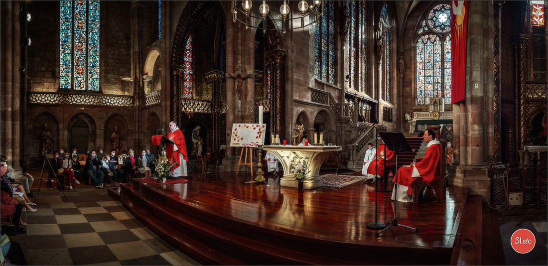 Wedding . Family . Bapteme . Mariage. Photographe à Strasbourg | Portraits, Studio, Enfants, Événements