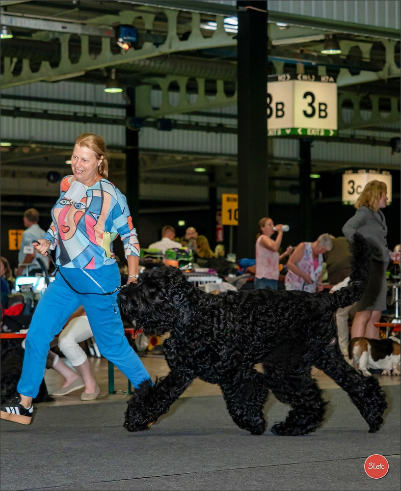 🇱🇺 LUXEMBOURG 🇱🇺 International Dog Show 🇱🇺 31/08 - 01/09/2024. Photographe à Strasbourg | Portraits, Studio, Enfants, Événements