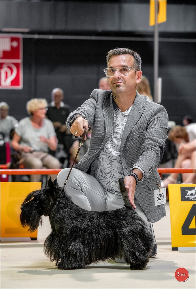 🇱🇺 LUXEMBOURG 🇱🇺 International Dog Show 🇱🇺 31/08 - 01/09/2024. Photographe à Strasbourg | Portraits, Studio, Enfants, Événements