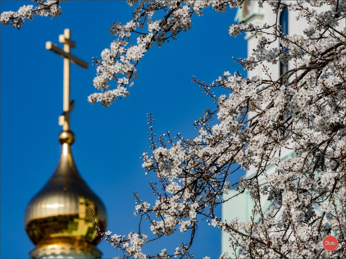 Spring came to Strasbourg in late February. Photographe à Strasbourg | Portraits, Studio, Enfants, Événements