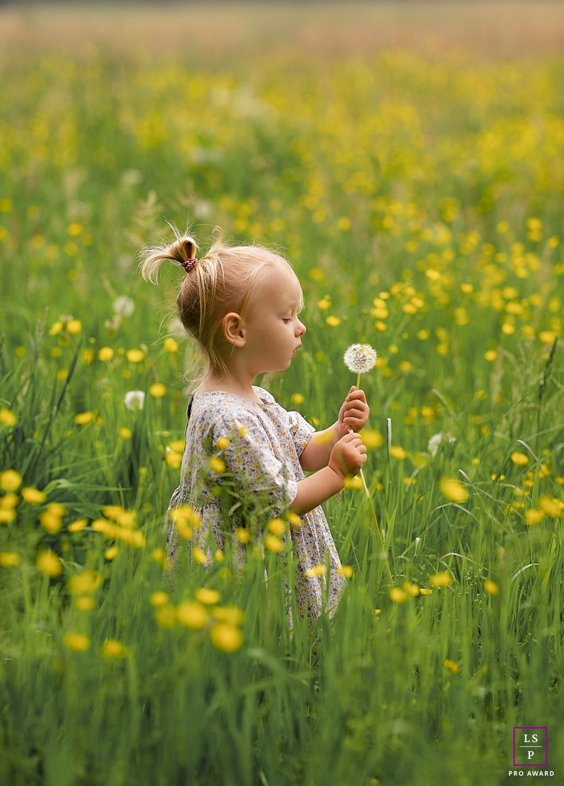 Awards | irina HoekFotografie Erkenningen & Prijzen. Familie en huwelijksfotograaf in Zwolle Overijssel