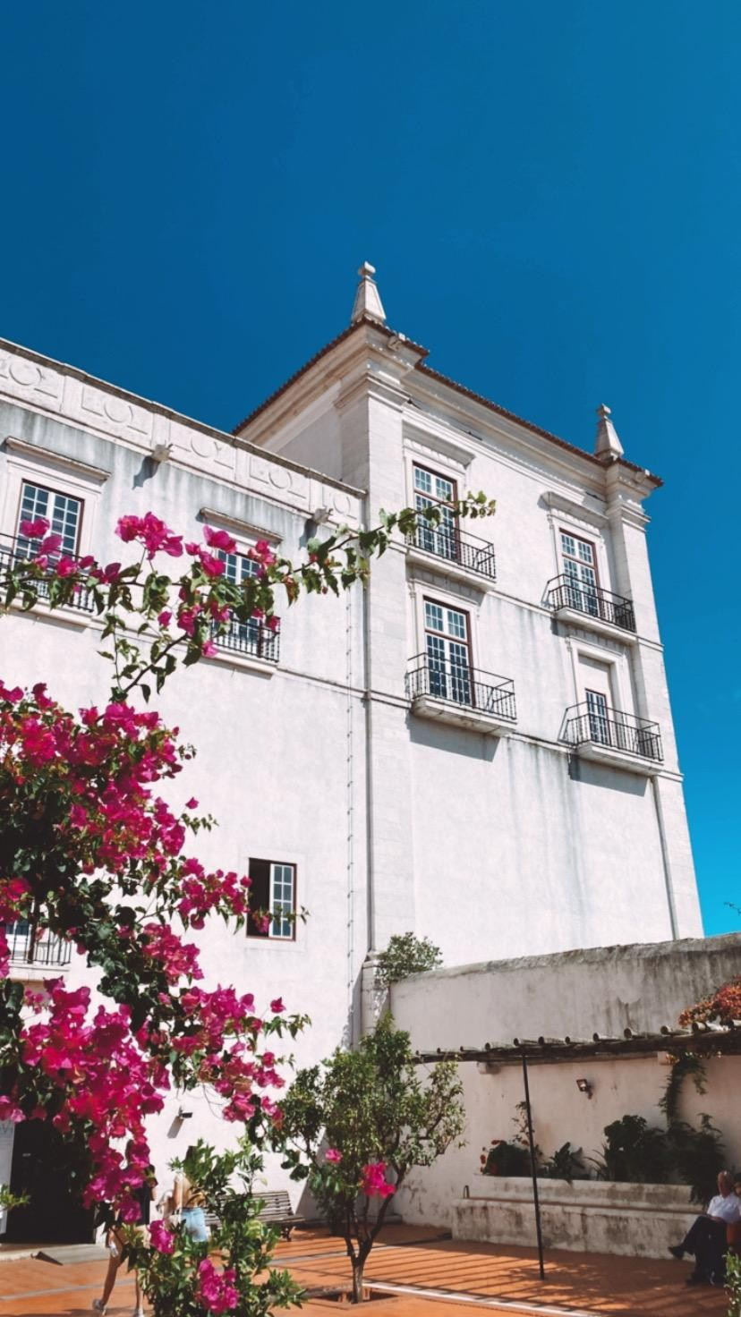 Jógový pobyt v Portugalsku 2024. Mateřství. Nevýchova. Život v souladu s přírodou. Jóga