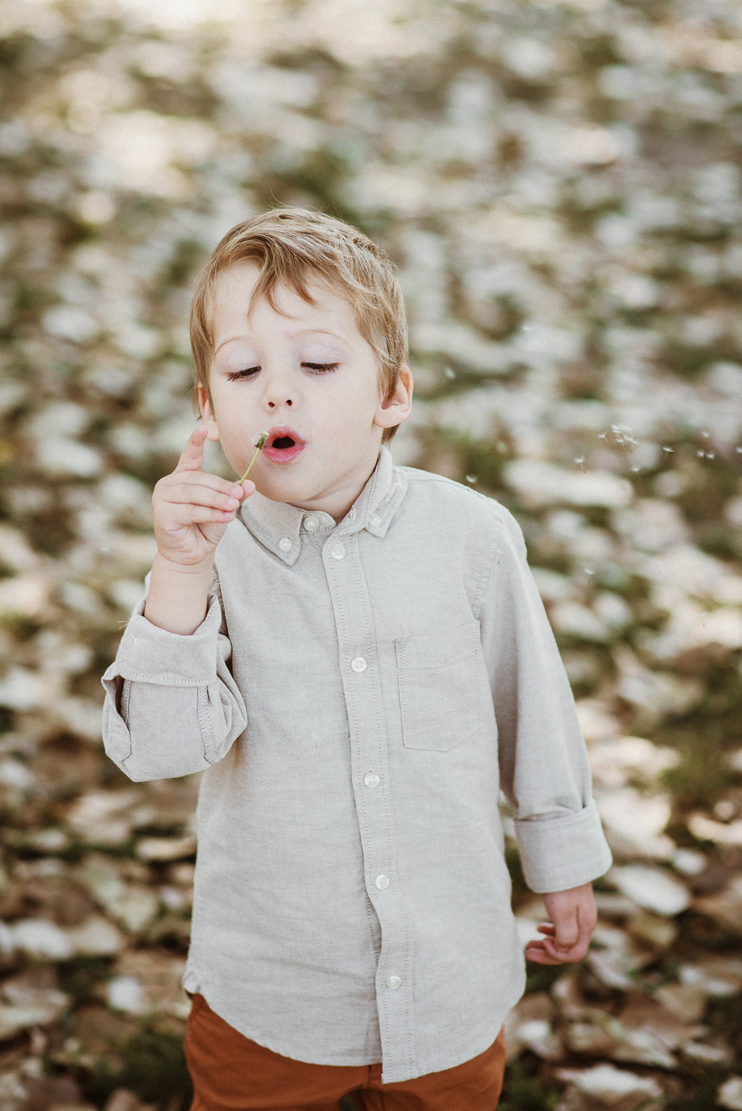 Porodicno fotografisanje. Bojana Žuža fotograf u Beogradu 📷 Belgrade photographer