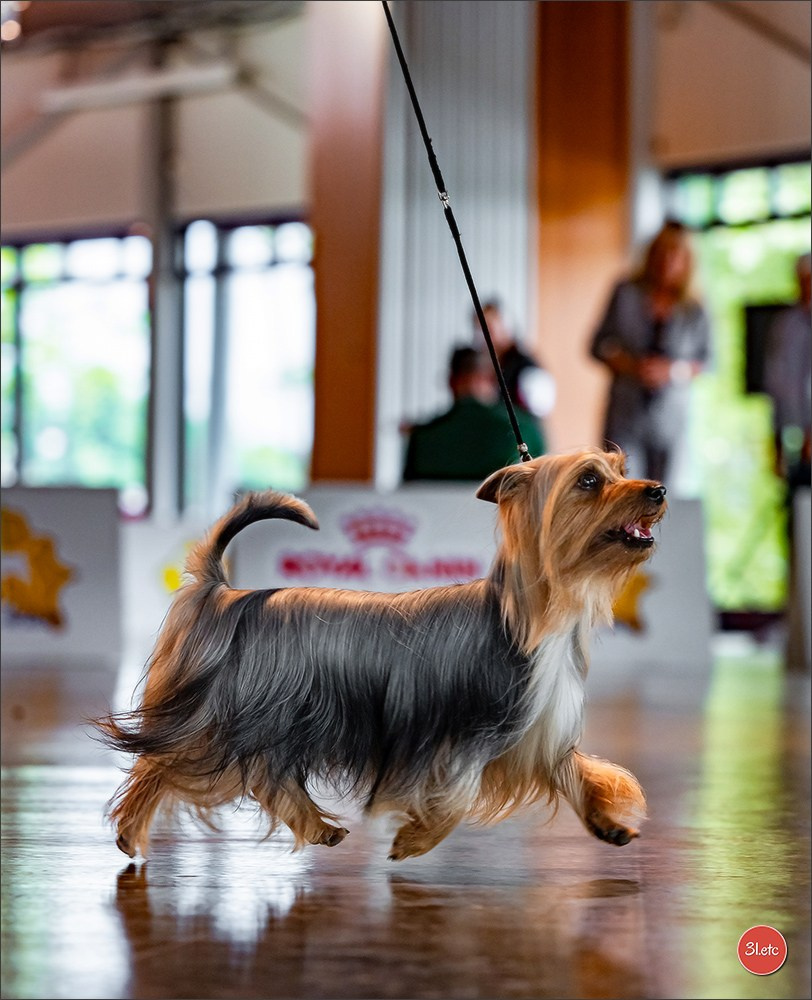 Photographie animalière. Photographe à Strasbourg | Portraits, Studio, Enfants, Événements
