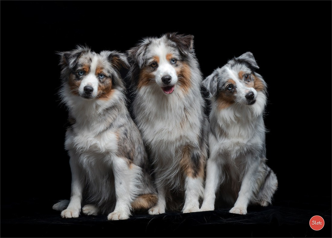 Photographe à Strasbourg | Portraits, Studio, Enfants, Événements