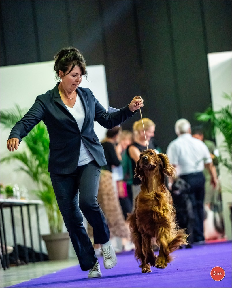 🇱🇺 LUXEMBOURG 🇱🇺 International Dog Show 🇱🇺 31/08 - 01/09/2024. Photographe à Strasbourg | Portraits, Studio, Enfants, Événements