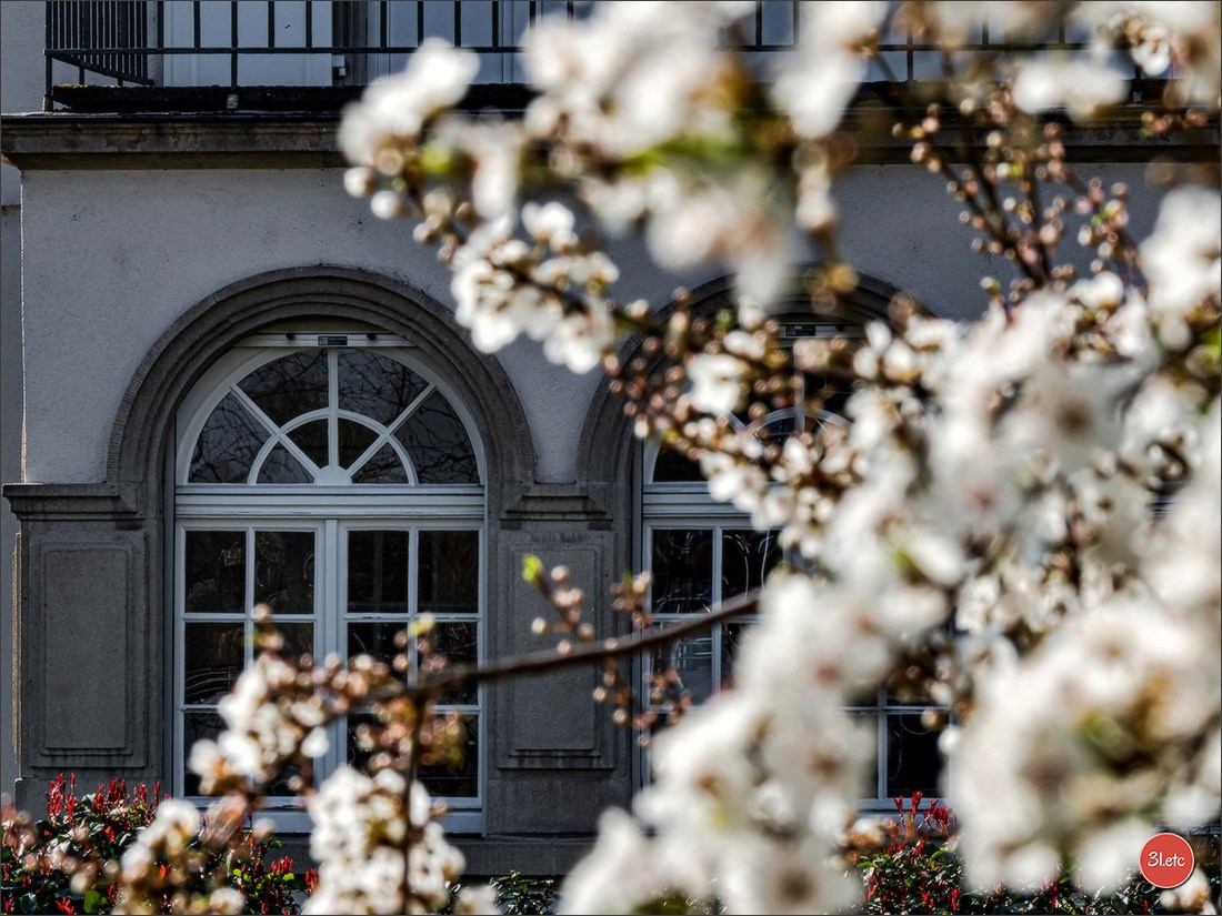 Spring came to Strasbourg in late February. Photographe à Strasbourg | Portraits, Studio, Enfants, Événements