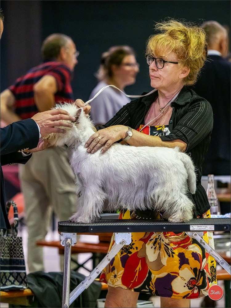 🇱🇺 LUXEMBOURG 🇱🇺 International Dog Show 🇱🇺 31/08 - 01/09/2024. Photographe à Strasbourg | Portraits, Studio, Enfants, Événements