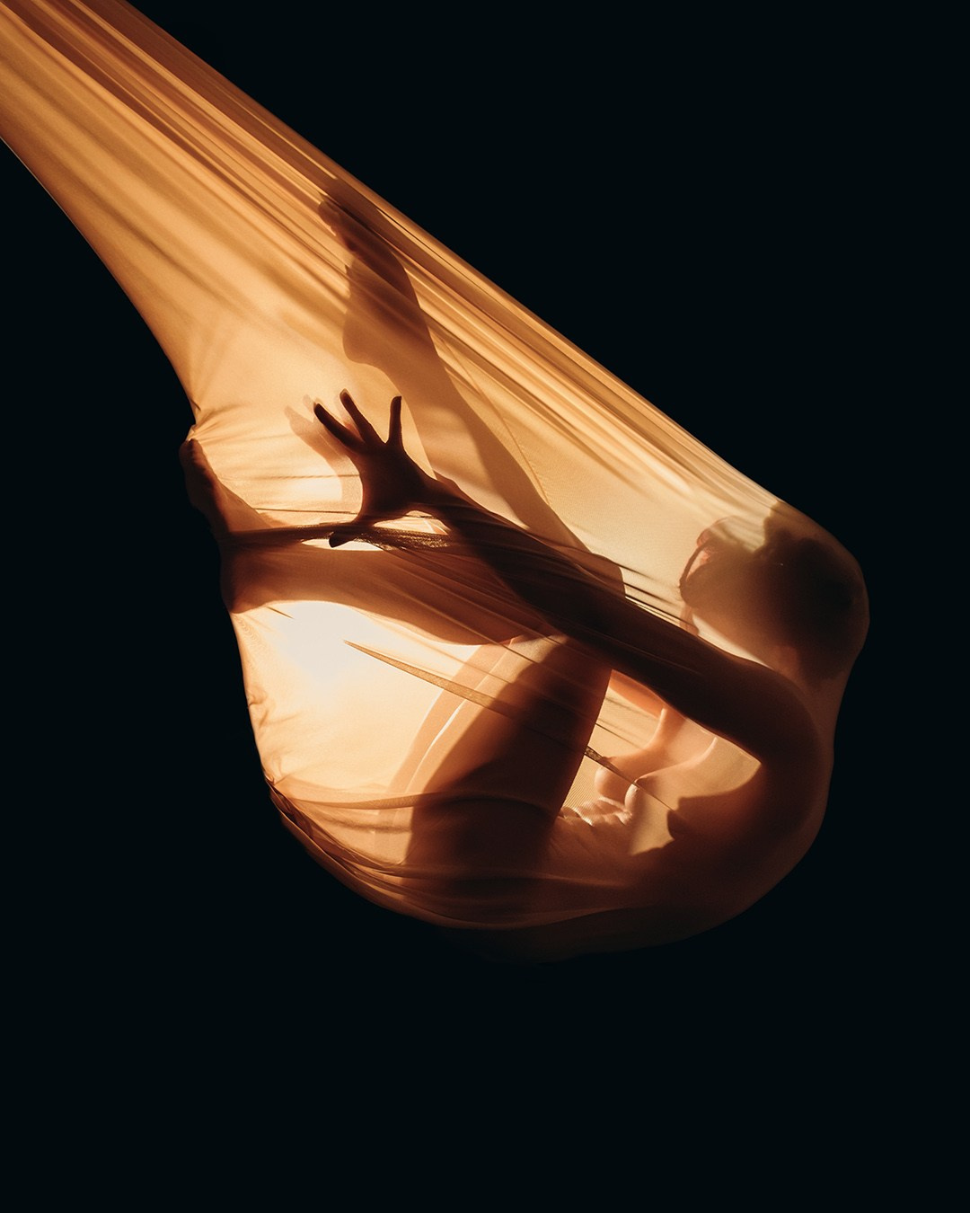 Photography. Lolly Shine. Contemporary digital artist