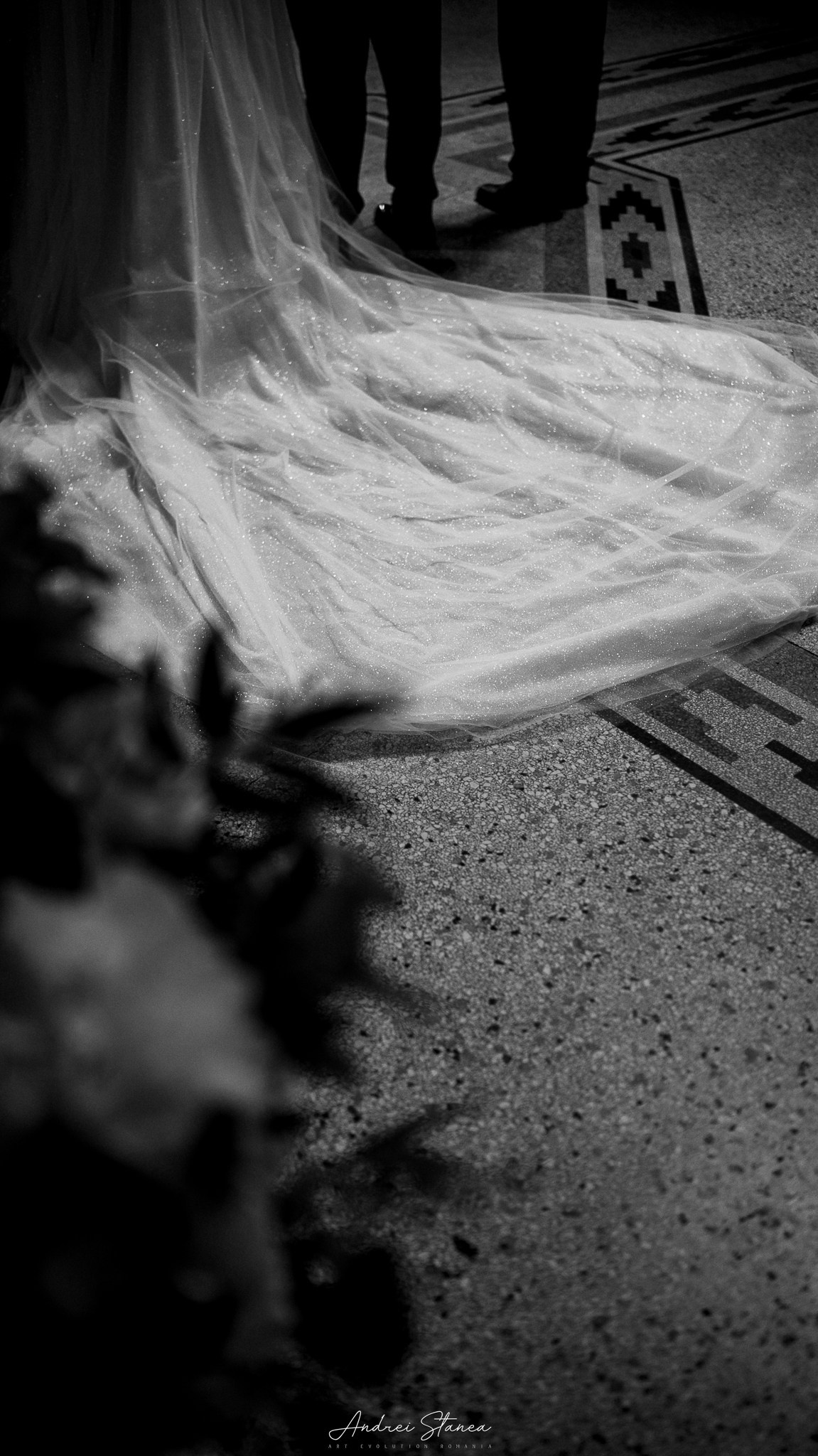 Claudia & Mircea. Andrei Stanea