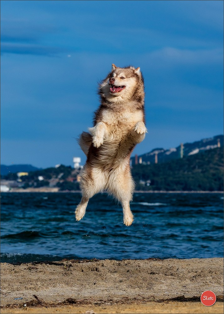 Photographe à Strasbourg | Portraits, Studio, Enfants, Événements