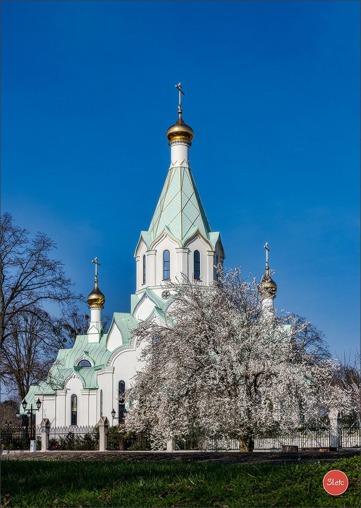 Spring came to Strasbourg in late February. Photographe à Strasbourg | Portraits, Studio, Enfants, Événements