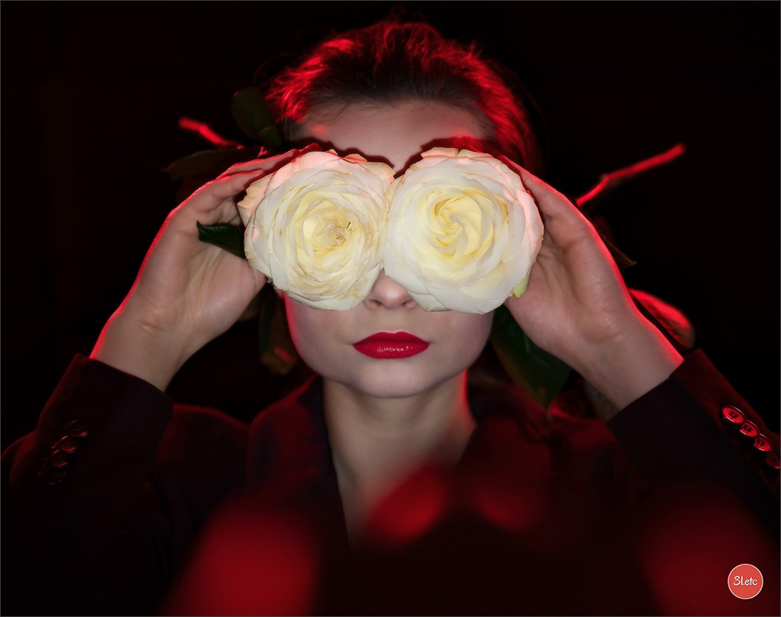 Portrait ou portrait de famille chez vous. Photographe à Strasbourg | Portraits, Studio, Enfants, Événements