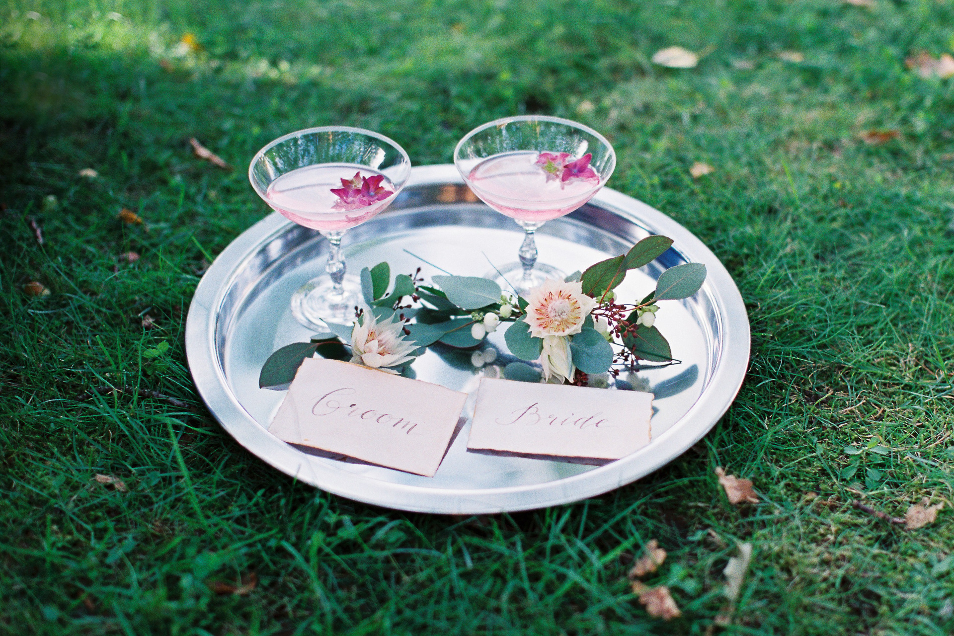 Crocus paperi - tuotekuvat