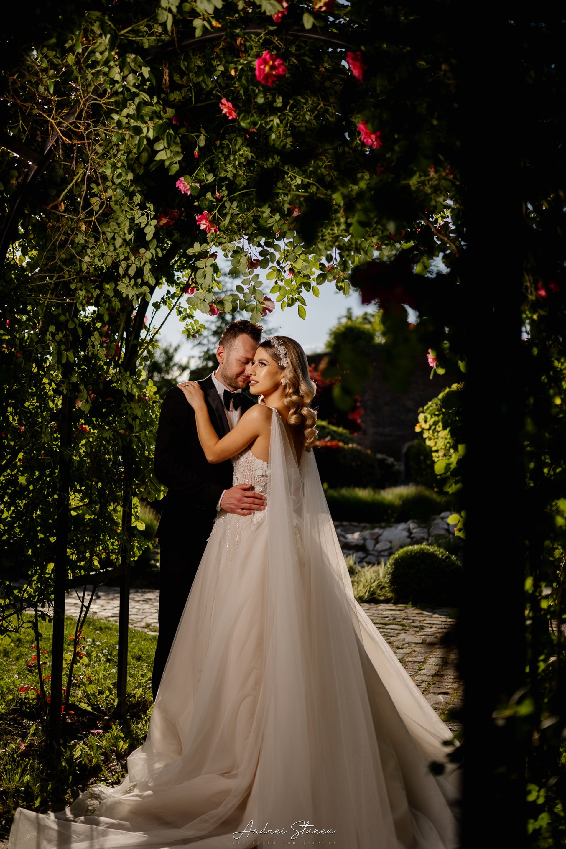 Stories. Andrei Stanea