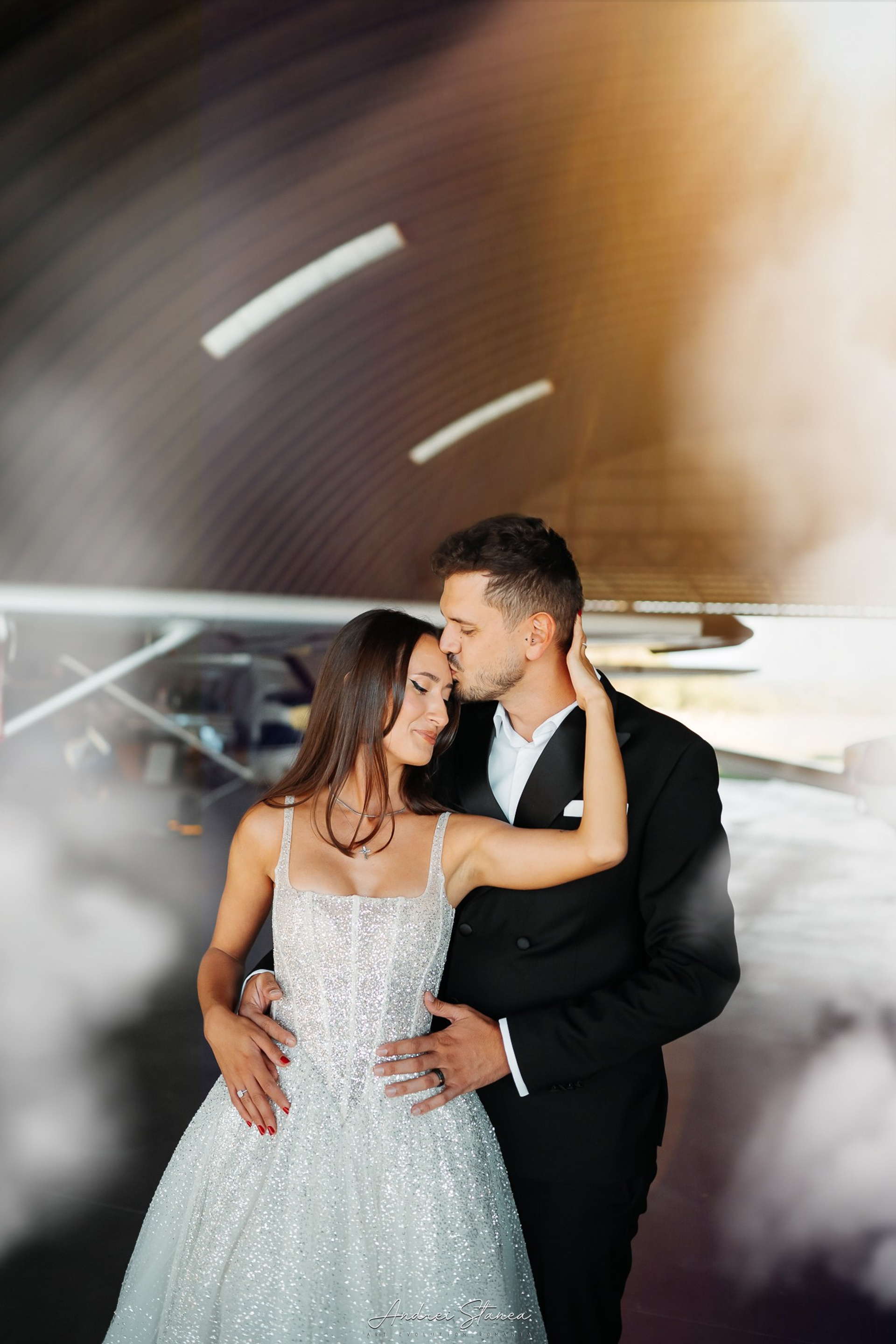 Stories. Andrei Stanea