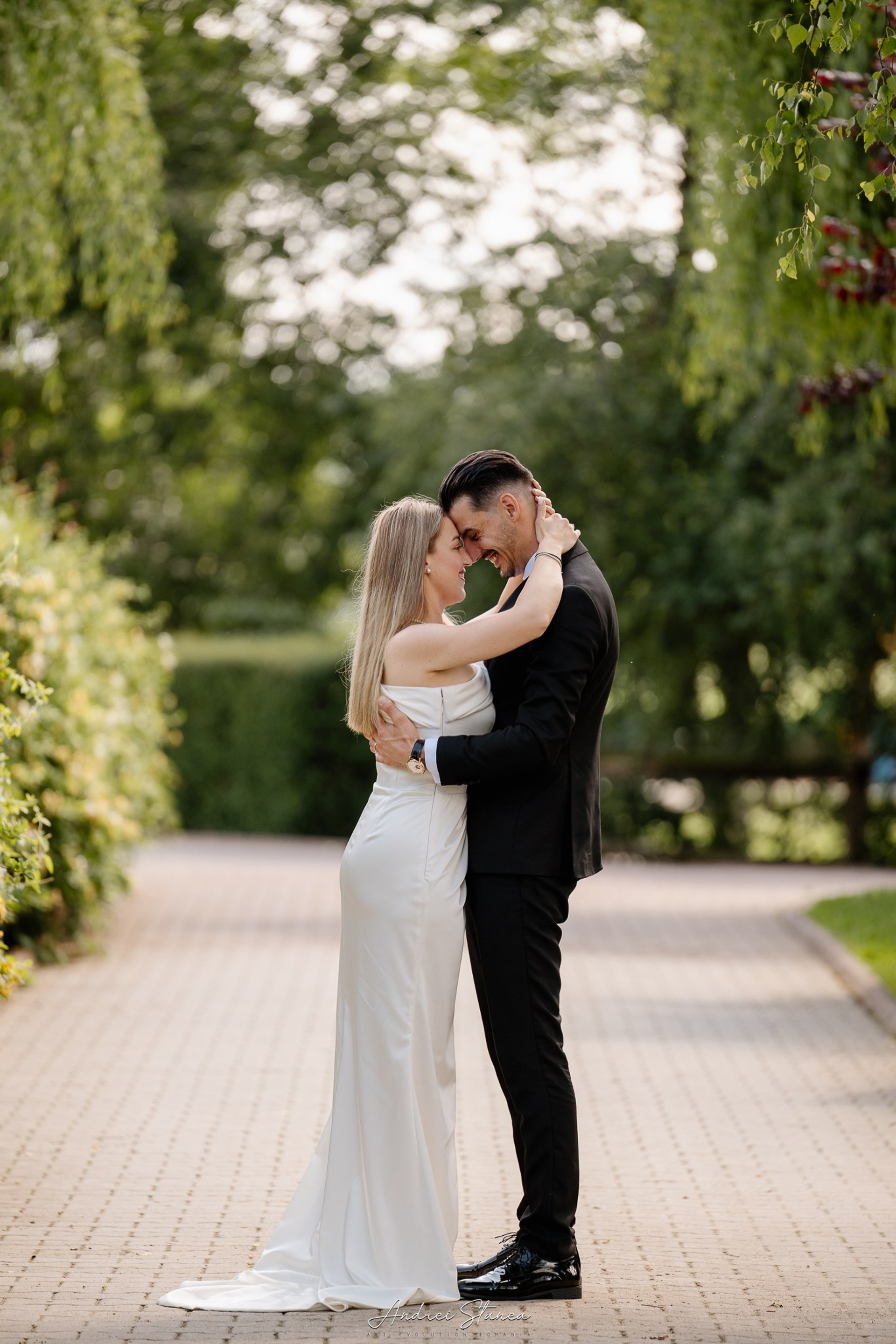 Stories. Andrei Stanea