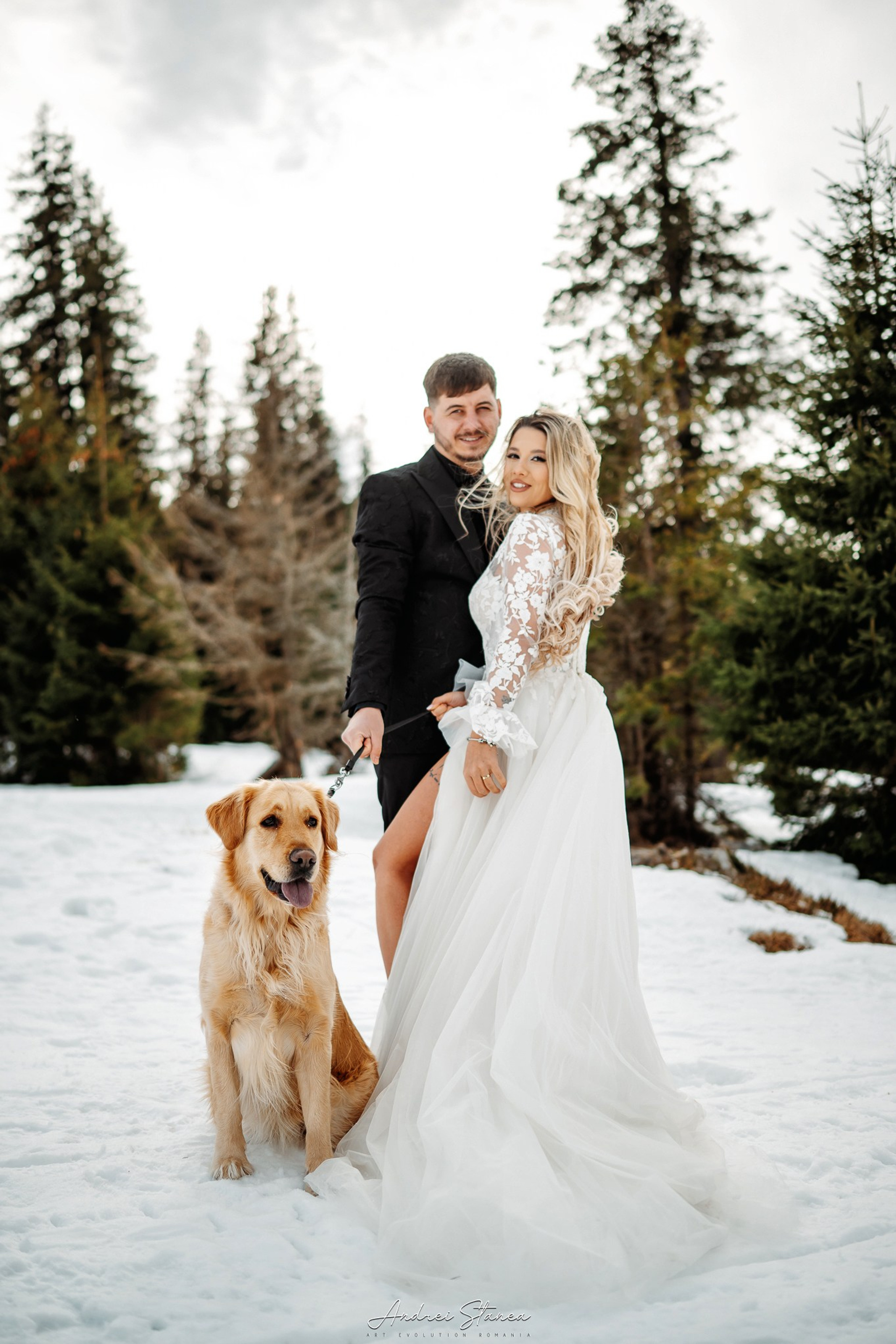 Stories. Andrei Stanea