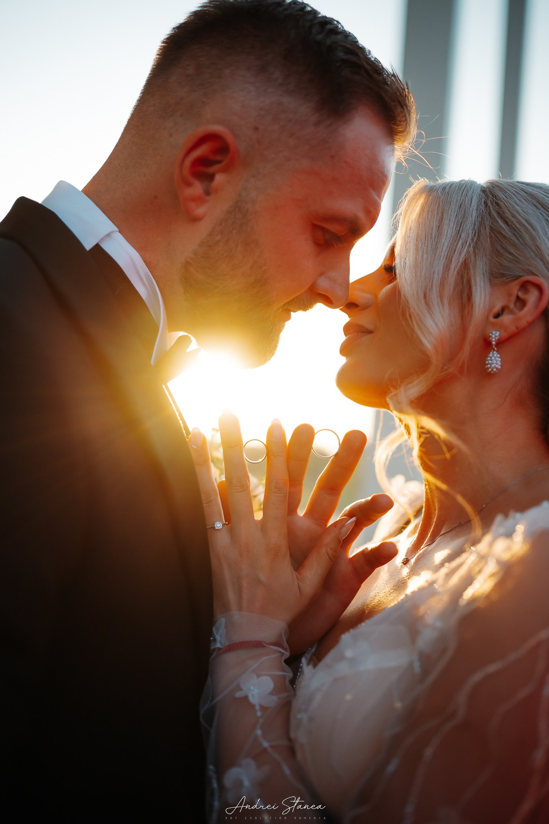 Stories. Andrei Stanea