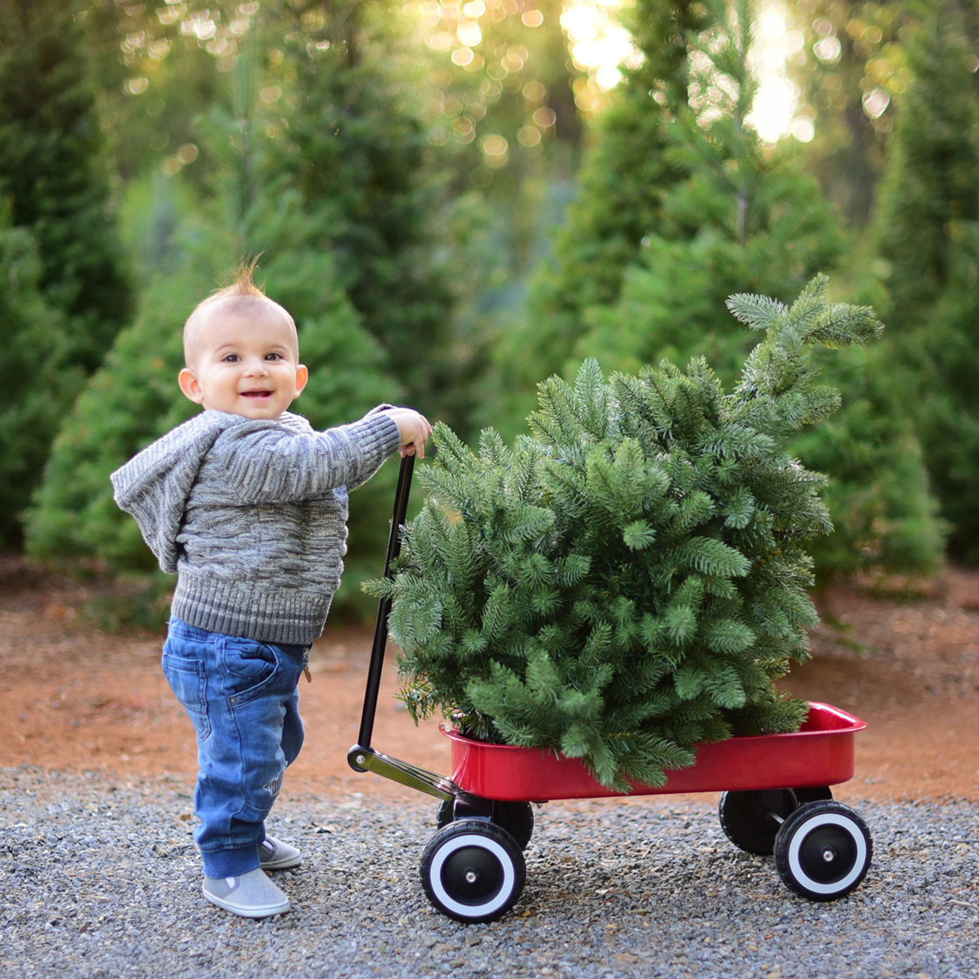 Stories. Family photographer in Roseville, Rocklin, Folsom, Sacramento