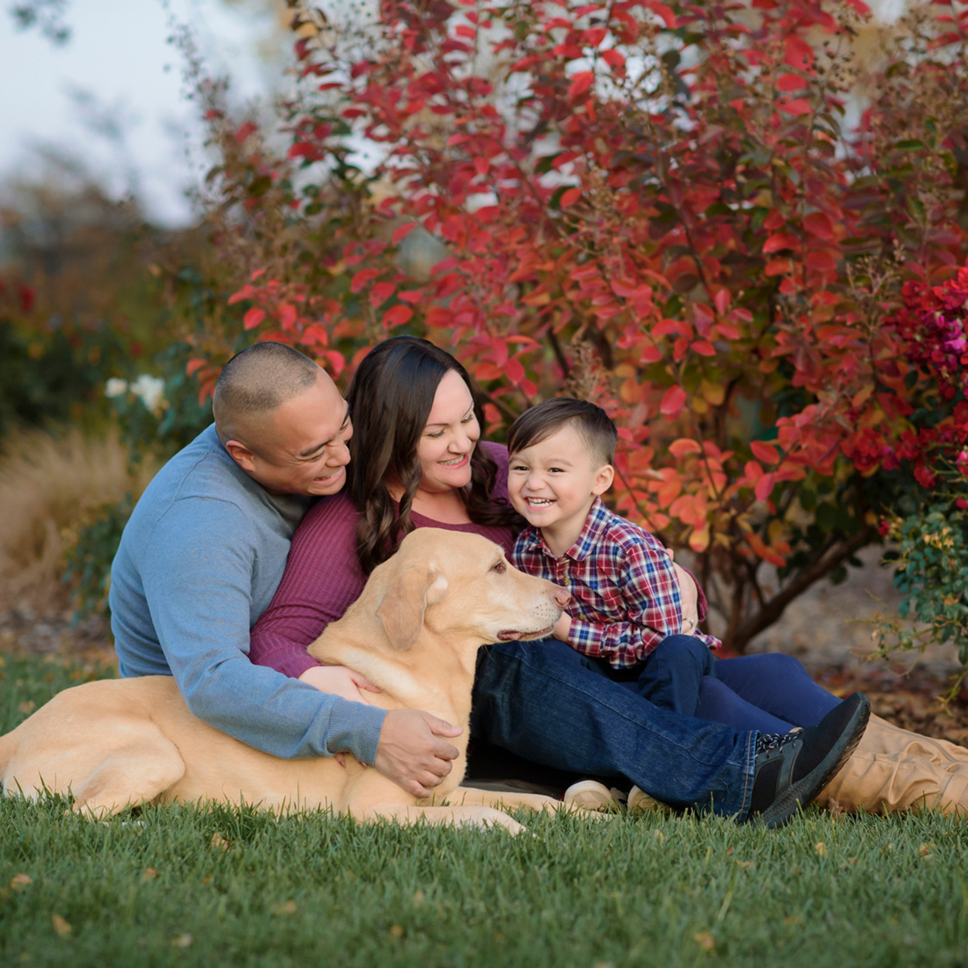 Stories. Family photographer in Roseville, Rocklin, Folsom, Sacramento