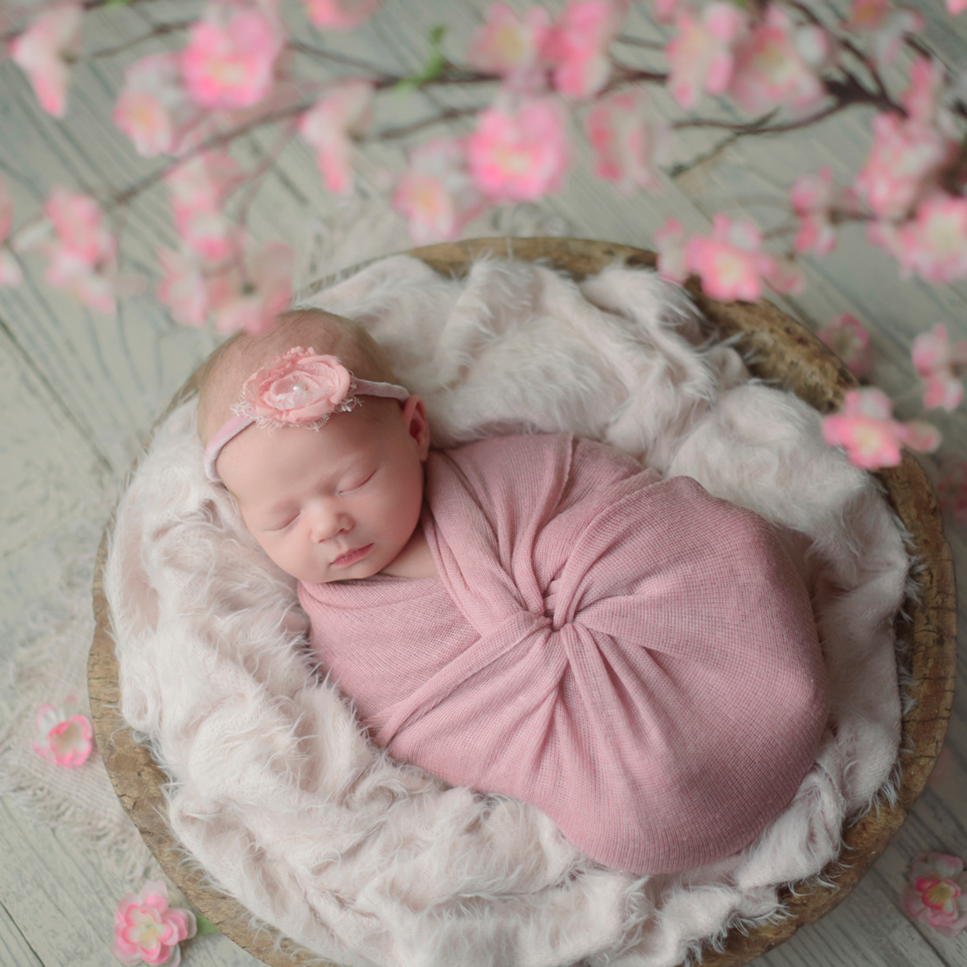 Stories. Family photographer in Roseville, Rocklin, Folsom, Sacramento