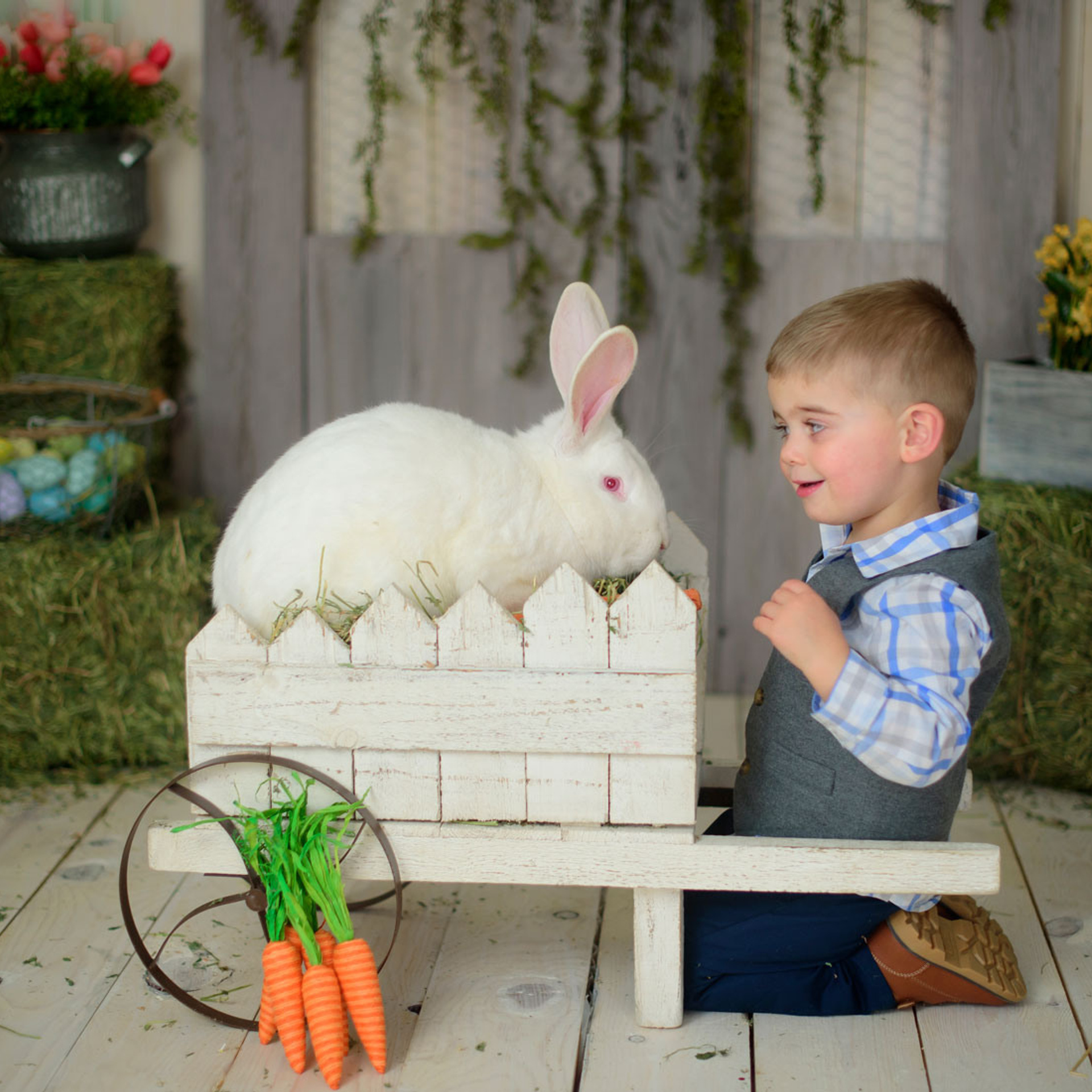 Stories. Family photographer in Roseville, Rocklin, Folsom, Sacramento