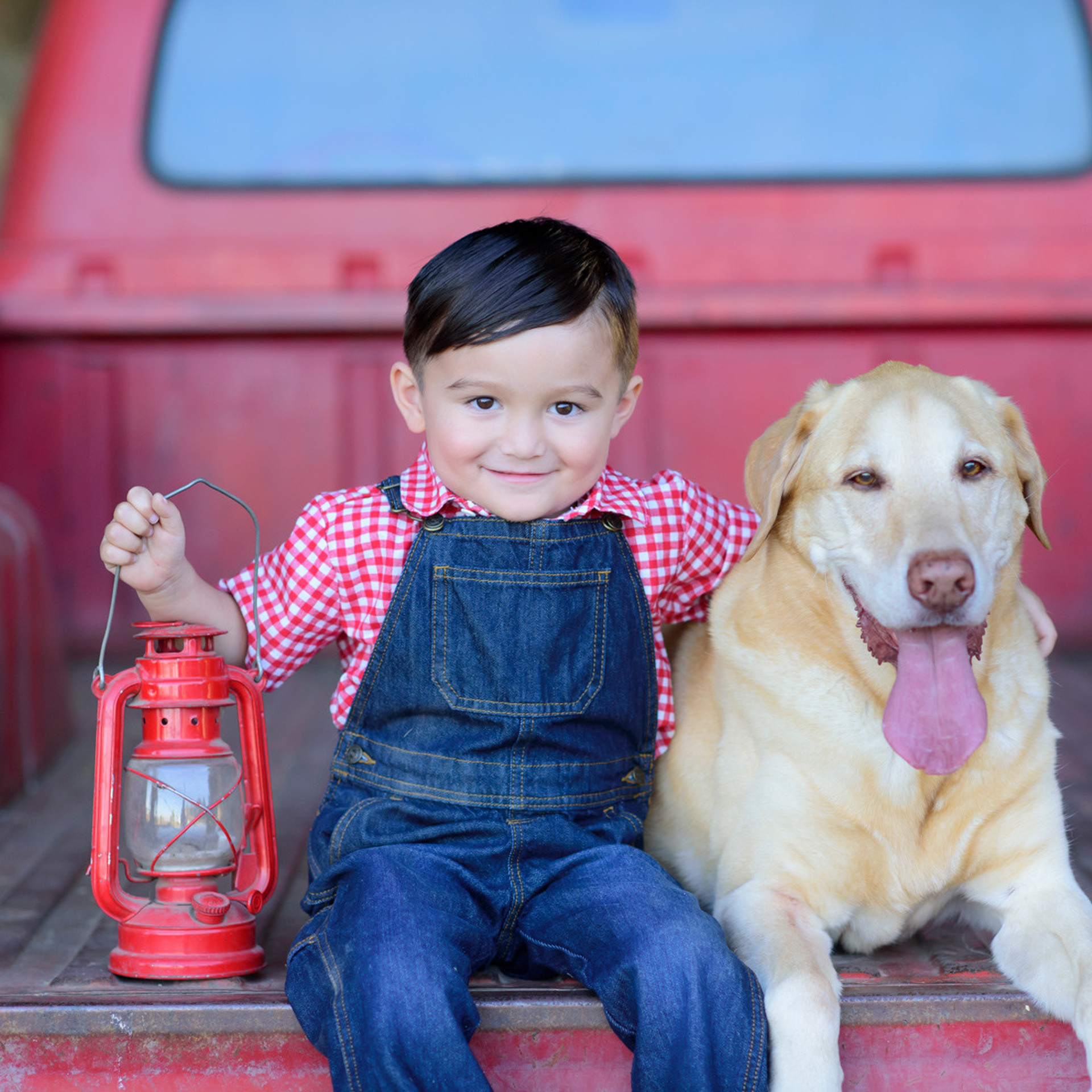 Stories. Family photographer in Roseville, Rocklin, Folsom, Sacramento