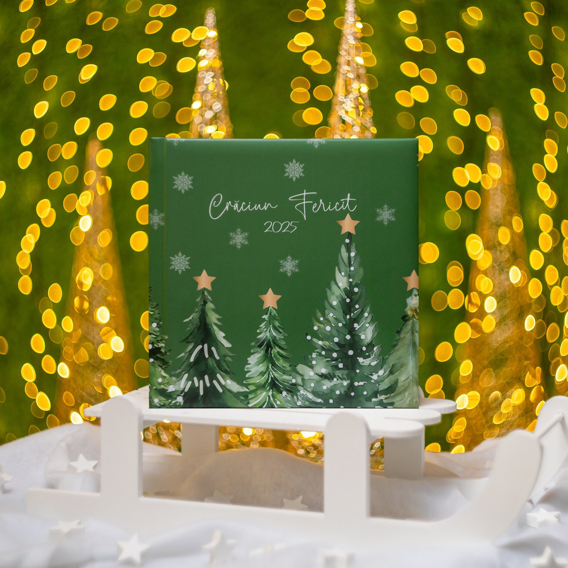 Sedinte foto Craciun Bucuresti