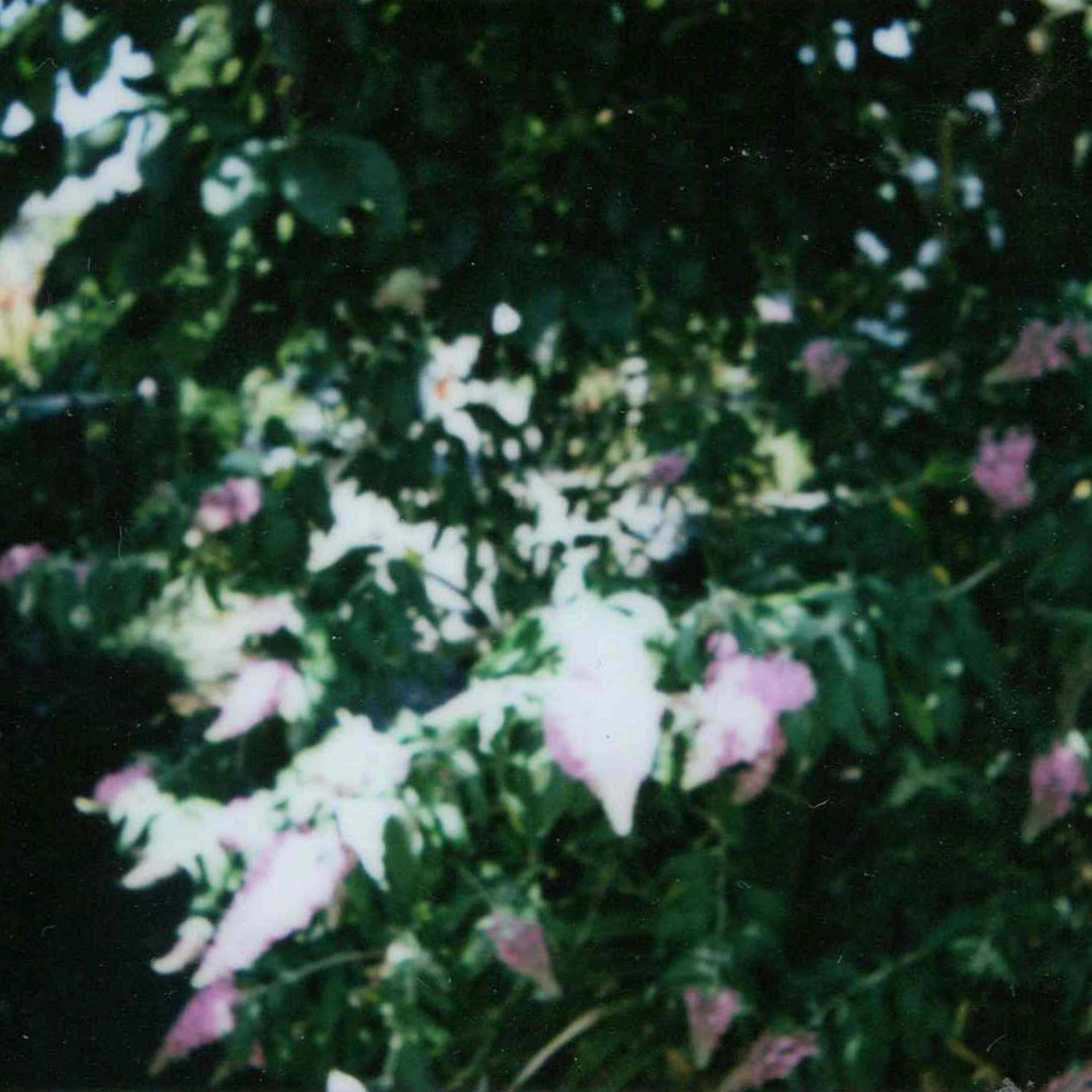 My Grandfather Sent Me to the Moon. Sveta Kaverina