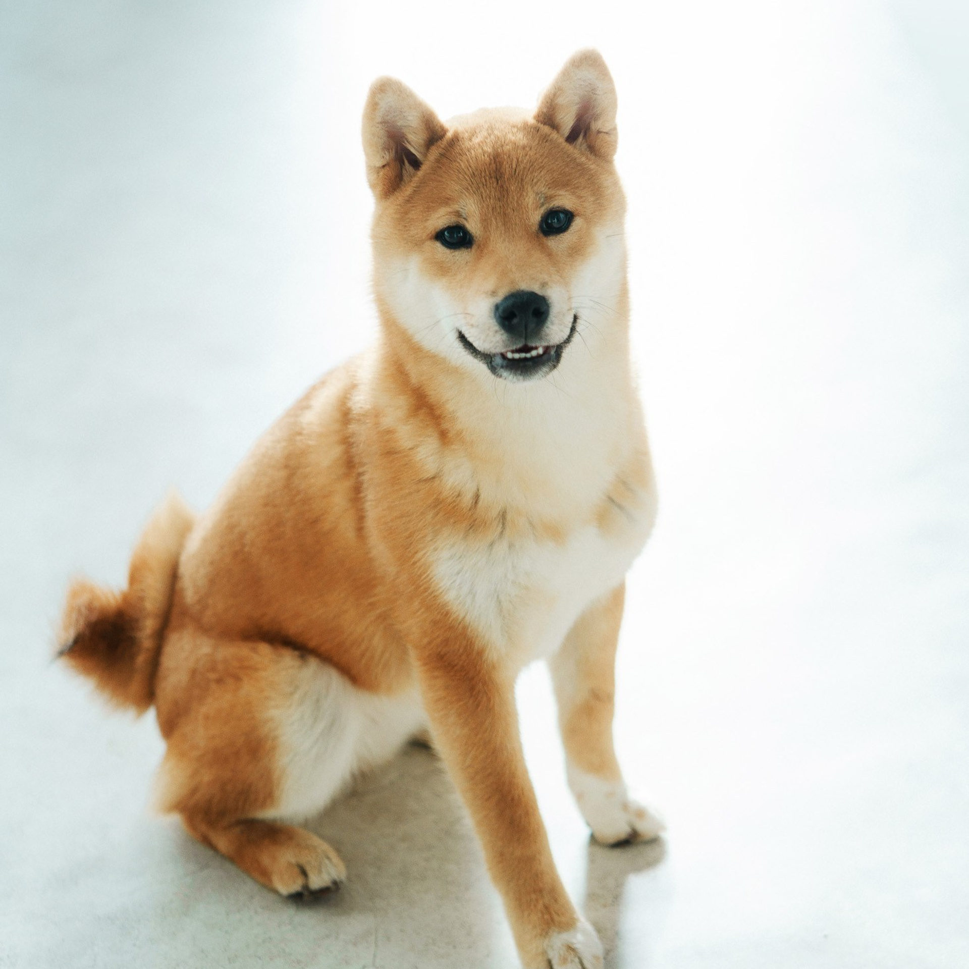 Blog