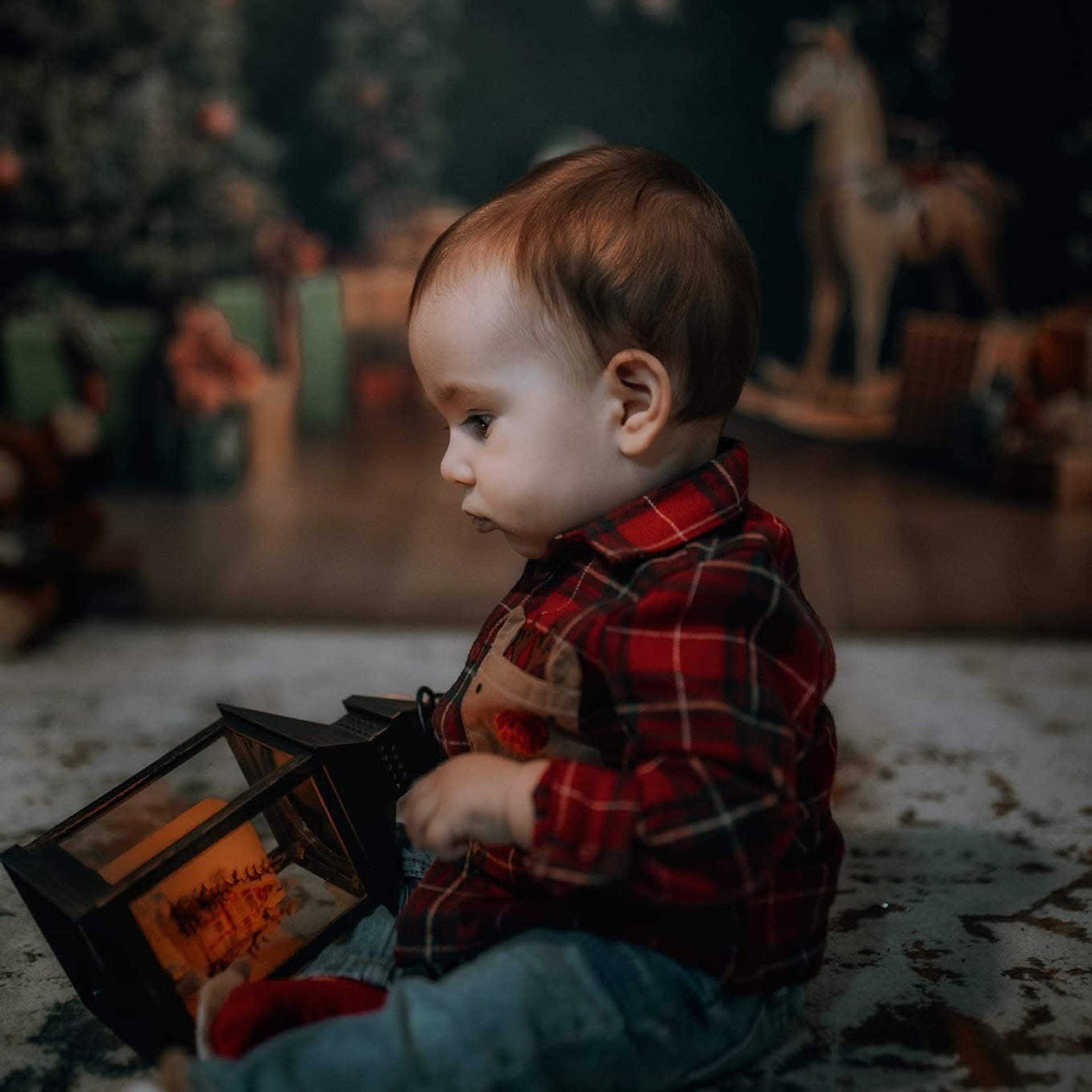 🎄 SEDINTE FOTO DE CRACIUN 2025. Emotions Photo Art