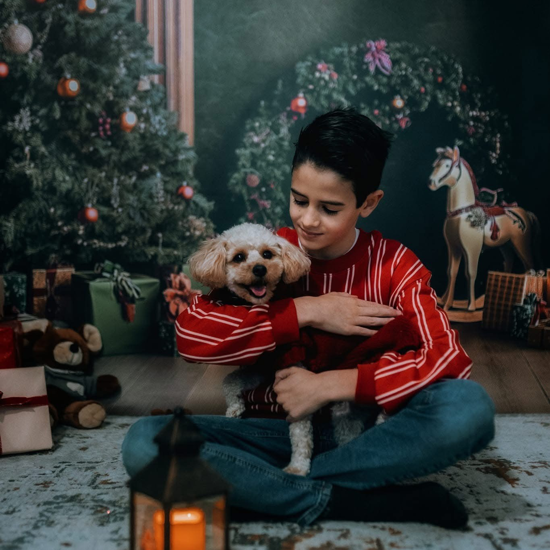 🎄 SEDINTE FOTO DE CRACIUN 2025. Emotions Photo Art