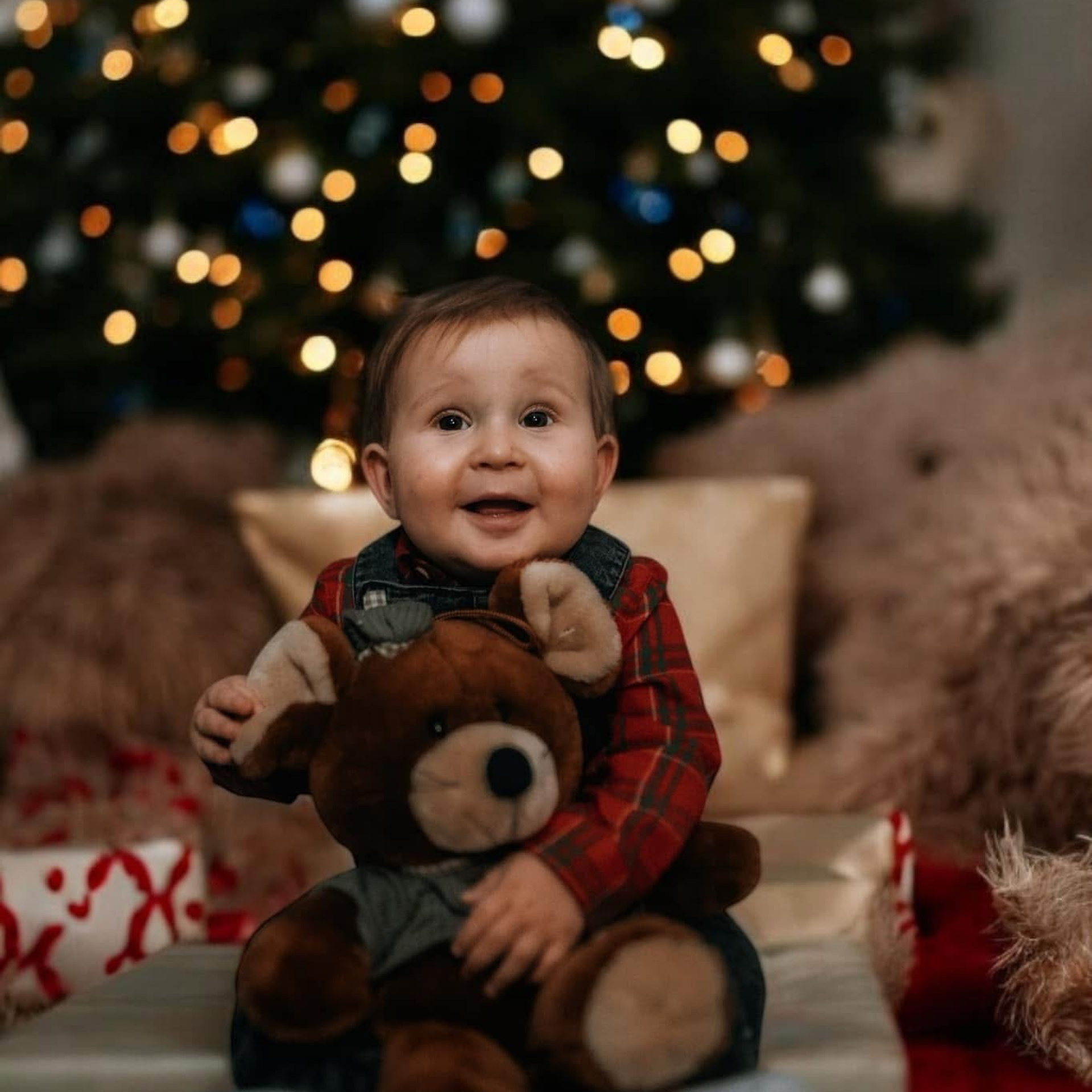 🎄 SEDINTE FOTO DE CRACIUN 2025. Emotions Photo Art