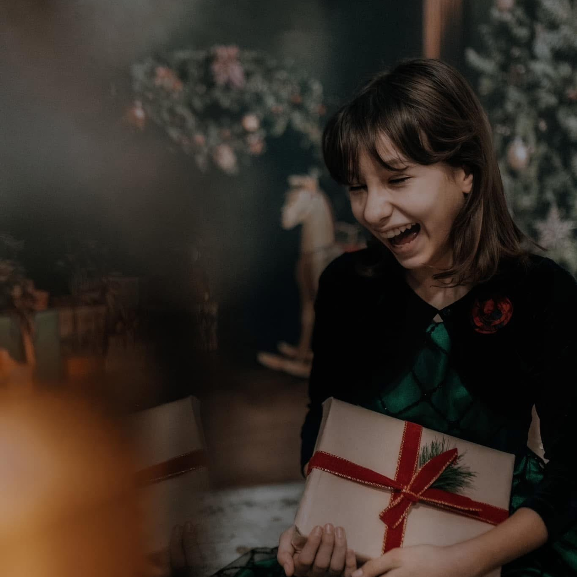 🎄 SEDINTE FOTO DE CRACIUN 2025. Emotions Photo Art