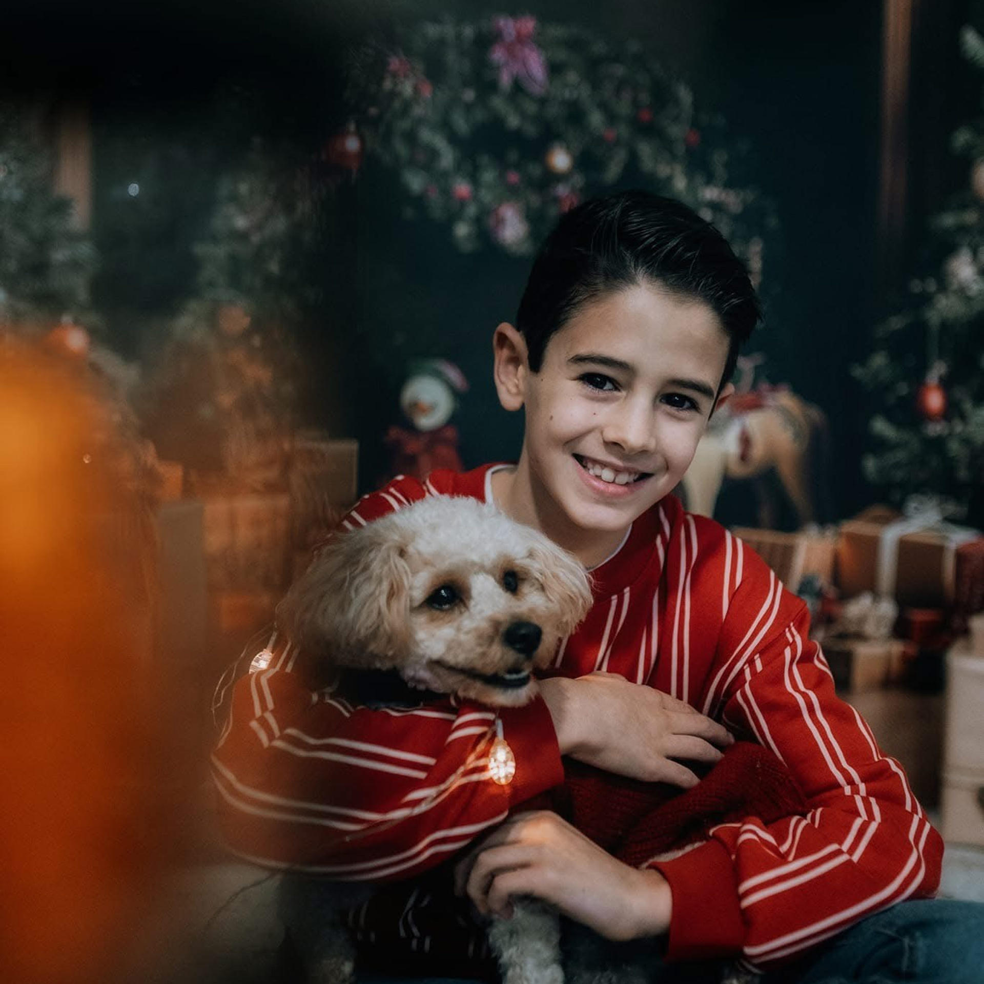 🎄 SEDINTE FOTO DE CRACIUN 2025. Emotions Photo Art