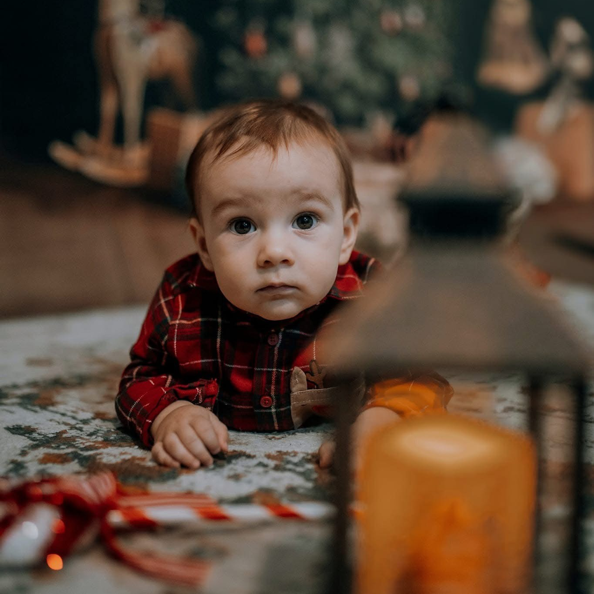 🎄 SEDINTE FOTO DE CRACIUN 2025. Emotions Photo Art