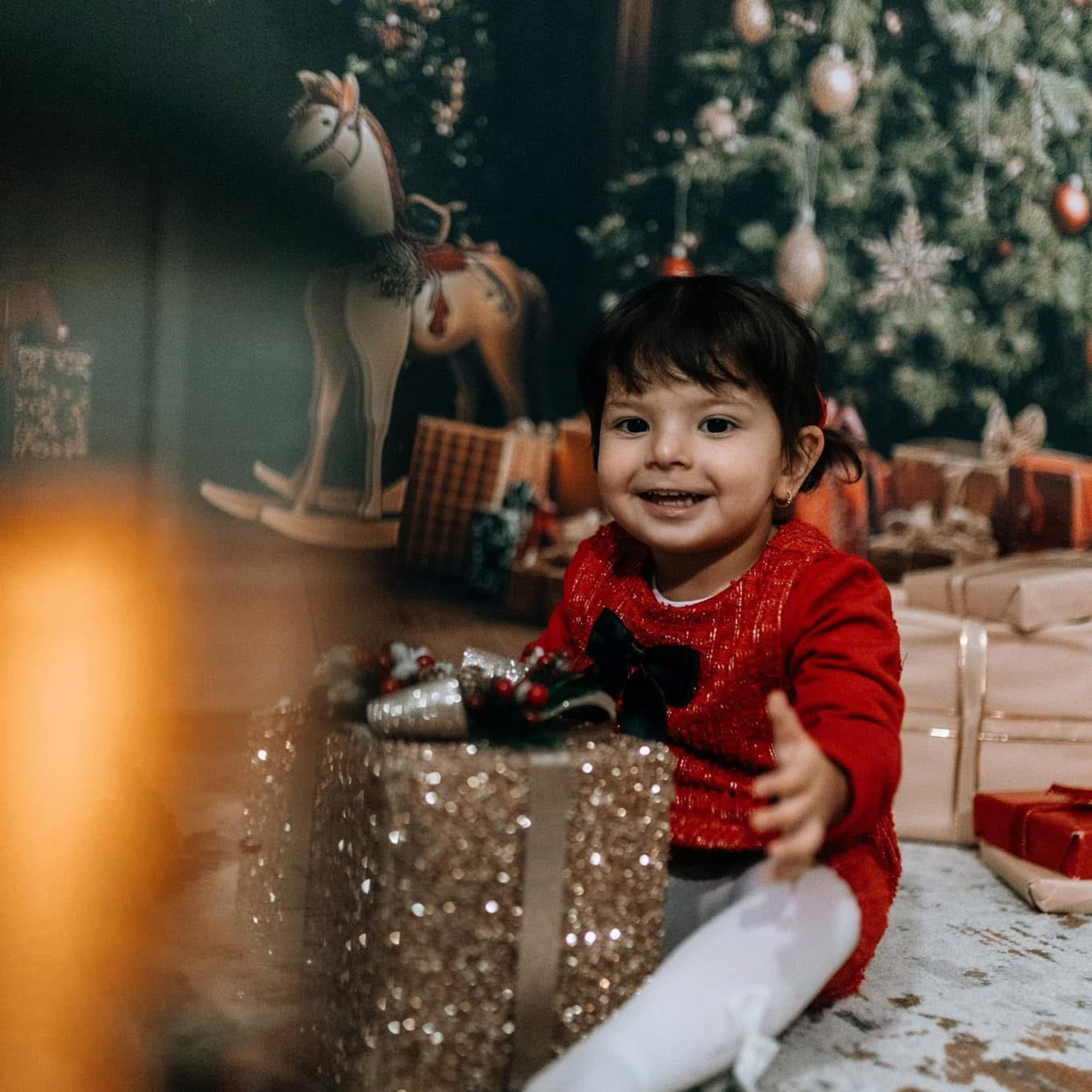 🎄 SEDINTE FOTO DE CRACIUN 2025. Emotions Photo Art